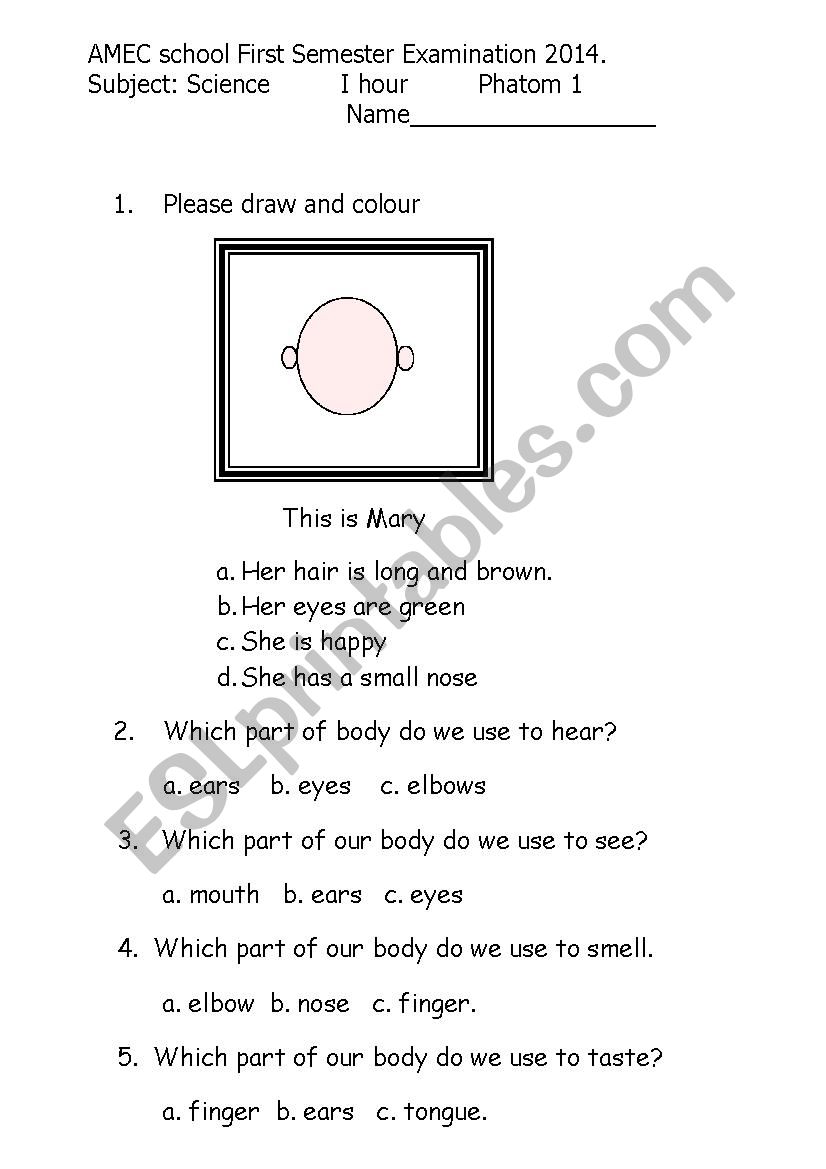 Science Exam for Grade 1. worksheet