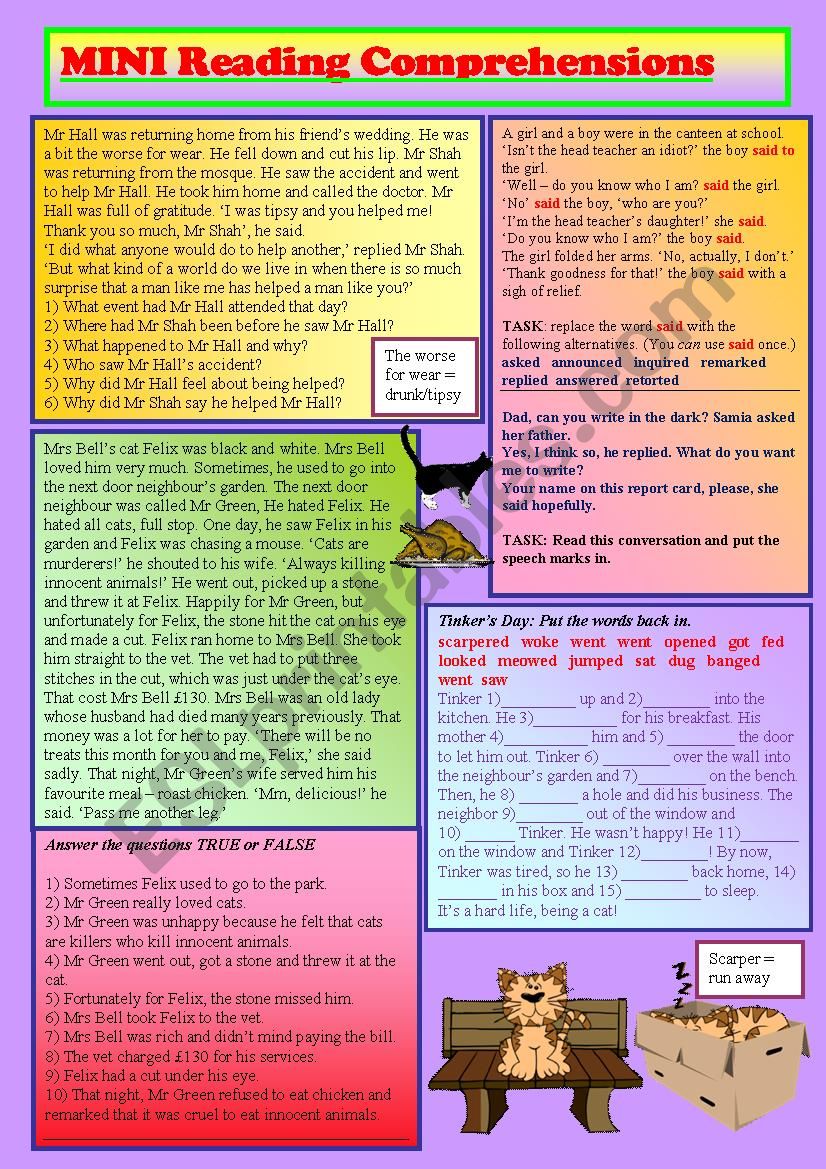 Mini Reading Activities worksheet