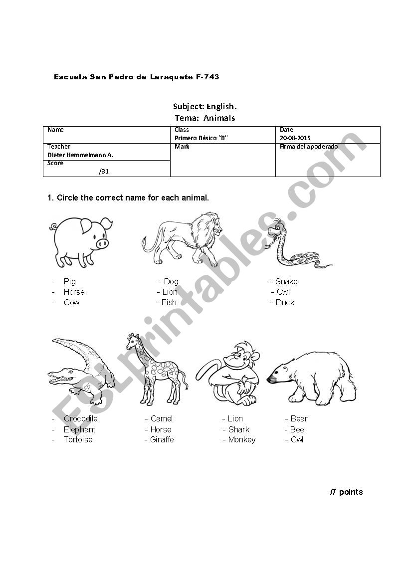 Animals Test worksheet