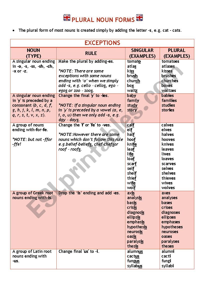 Plural Noun Forms worksheet