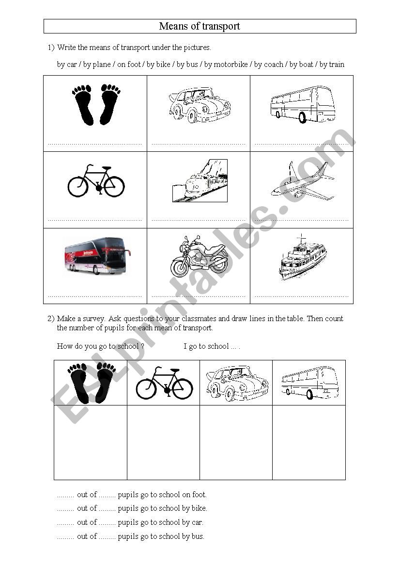 Means of transport worksheet