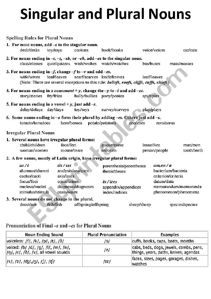 Singular and Plural exercises worksheet