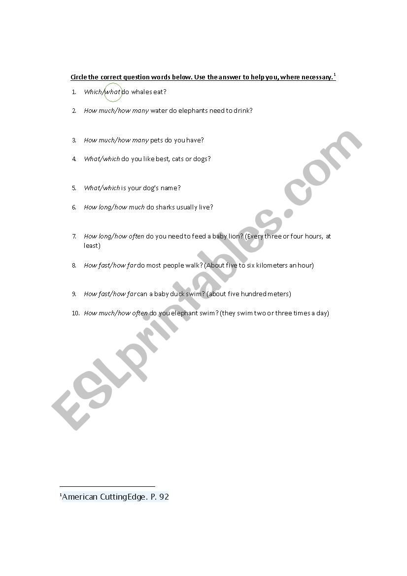 Question words worksheet