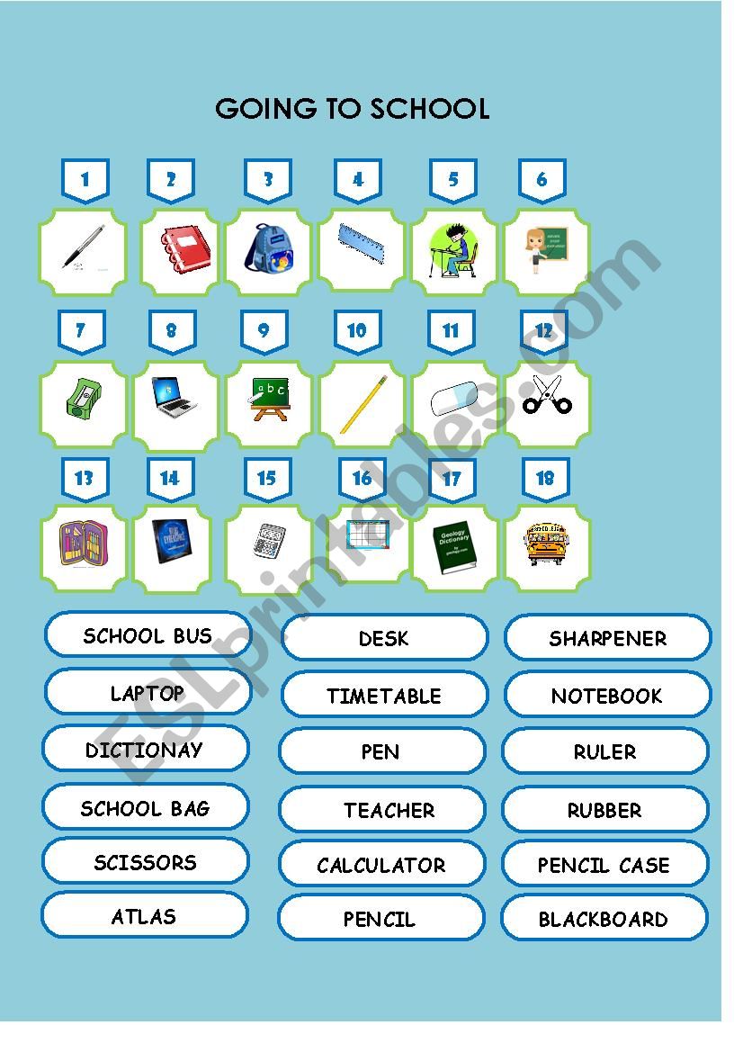 BACK TO SCHOOL worksheet