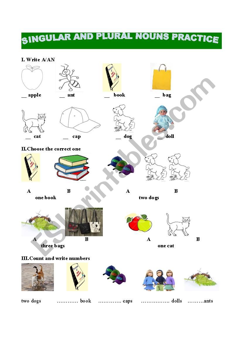 Singular and Plural Noun Practice