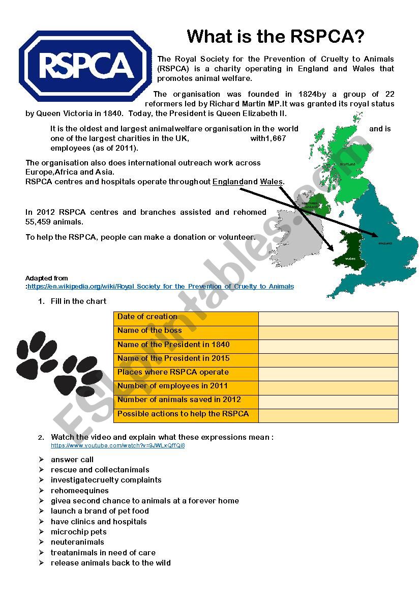 RSPCA - origin & advert analysis