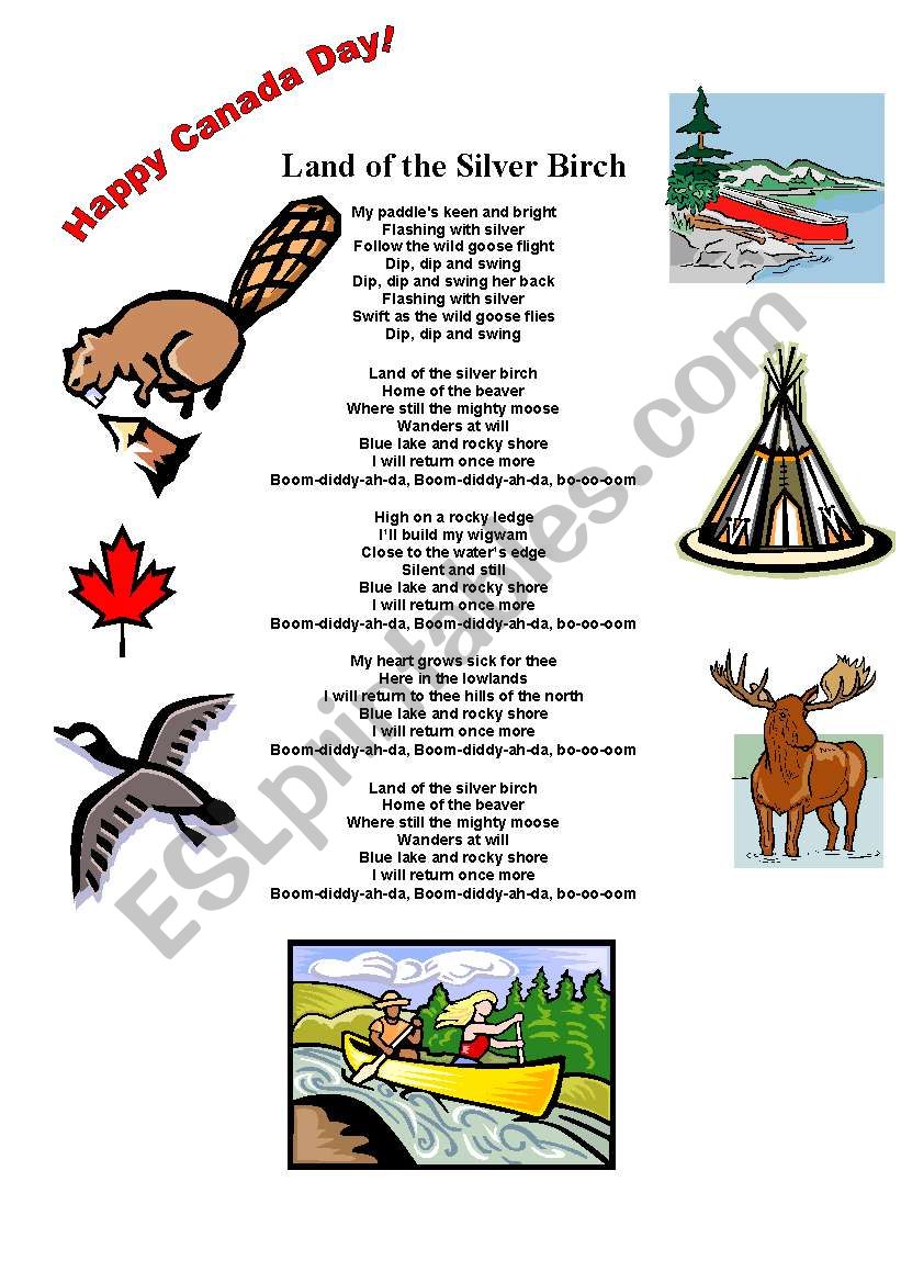 Land of the Silver Birch worksheet