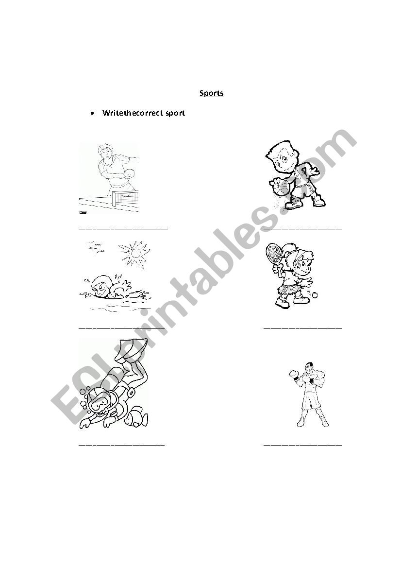 sport worksheet