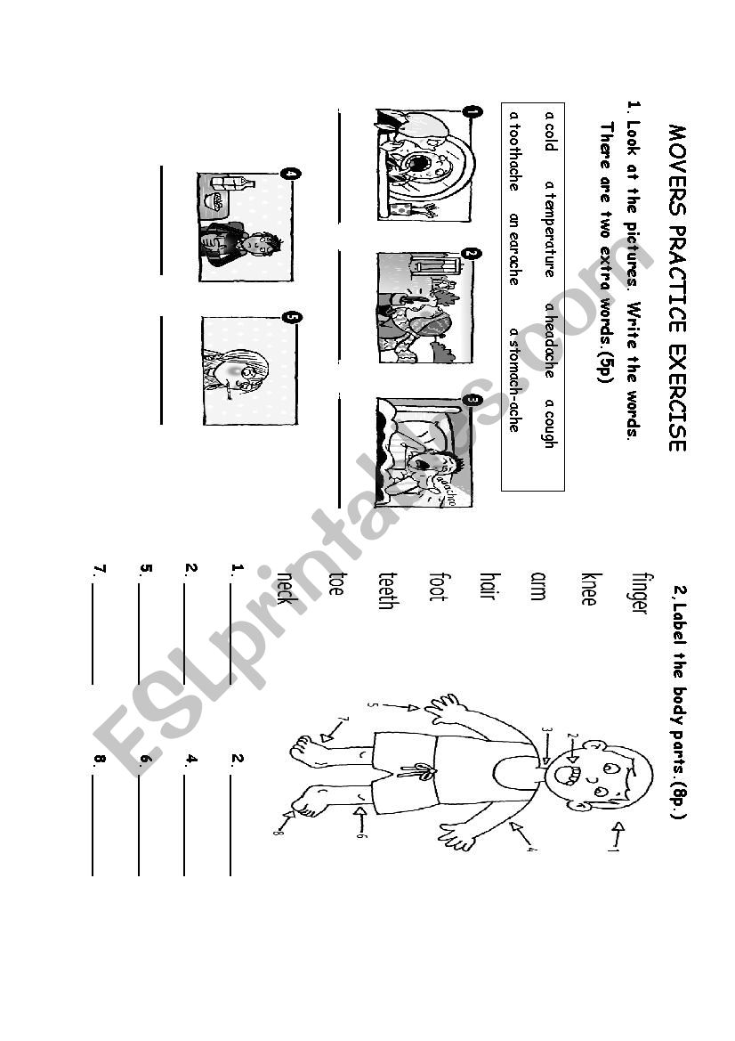 MOVERS PRACTICE EXERCISE worksheet