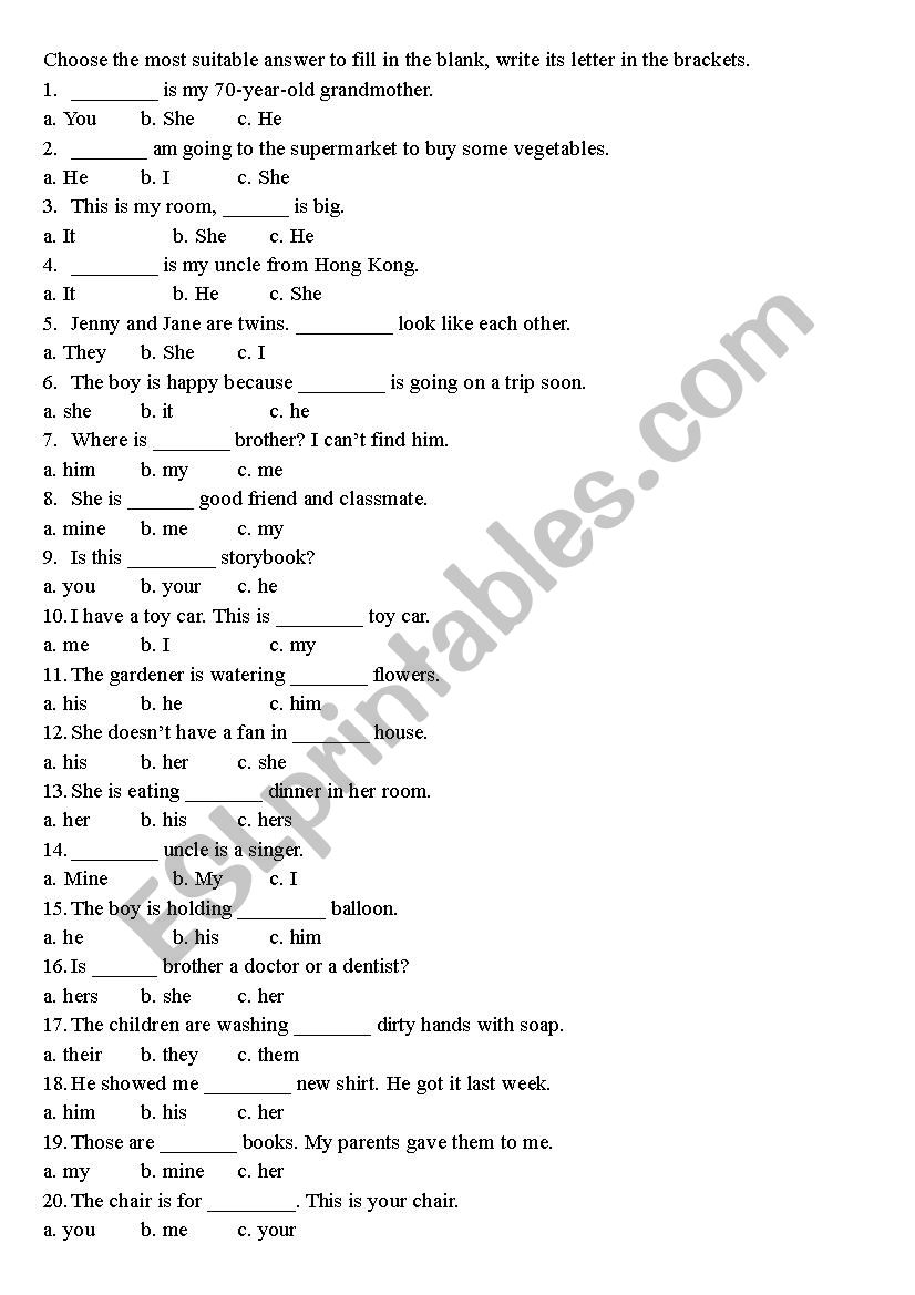 pronoun adjective worksheet