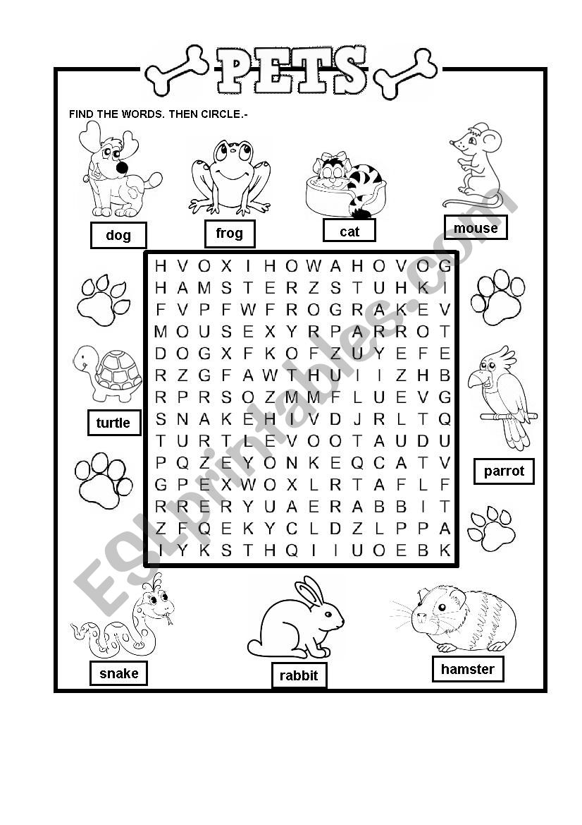 PETS worksheet