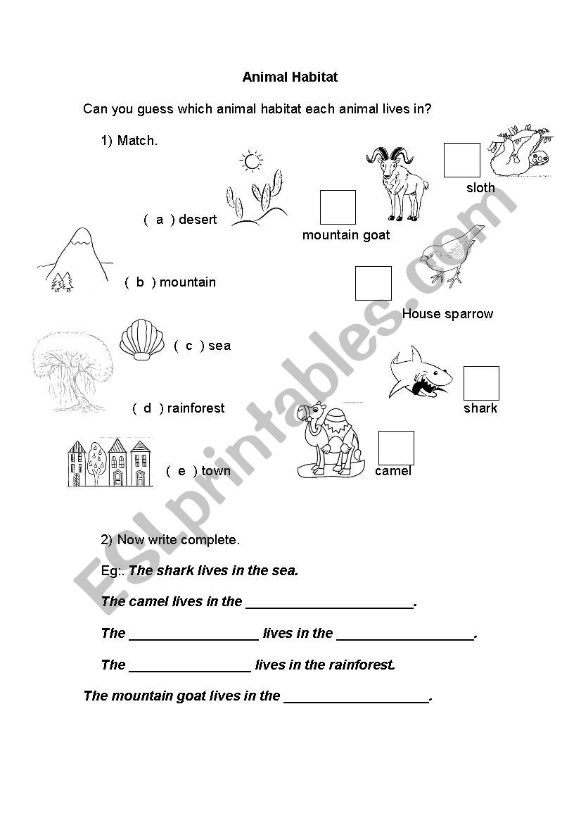 Animal habitat worksheet