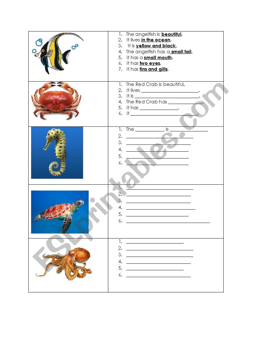 Writing Activity with guidance (Sea Creatures)