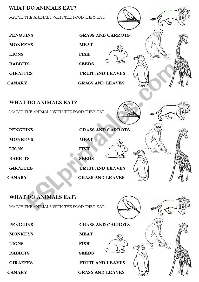 WHAT DO ANIMALS EAT? - ESL worksheet by GABASO