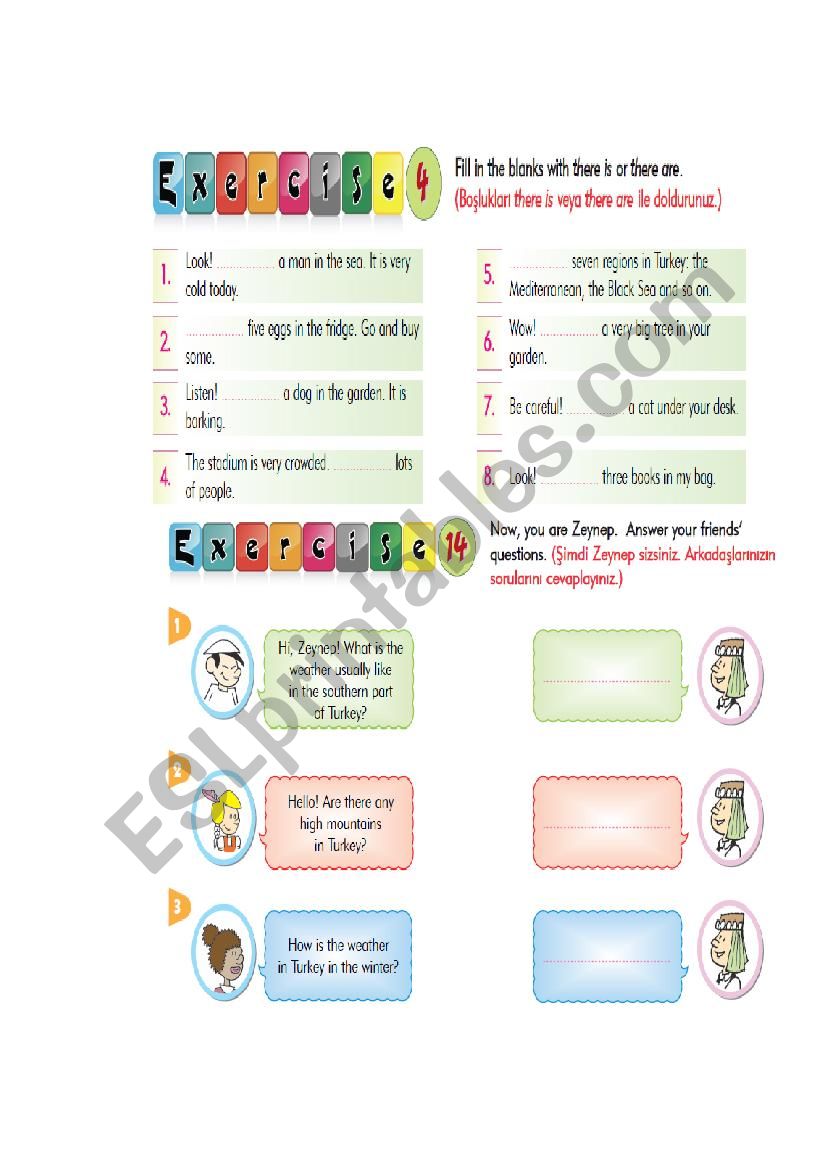 exercises worksheet