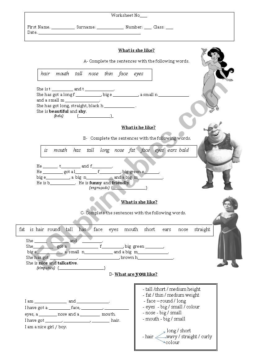 physical descripition  worksheet