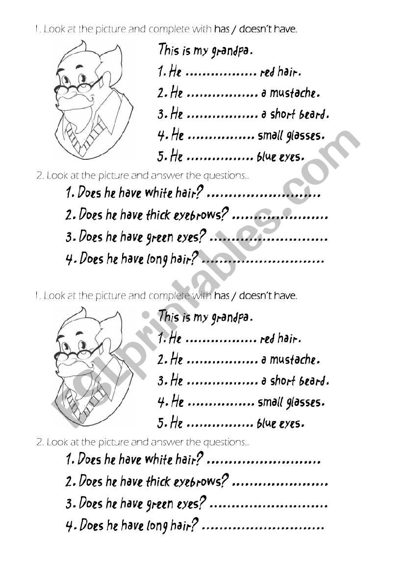 use of has and doesnt have worksheet