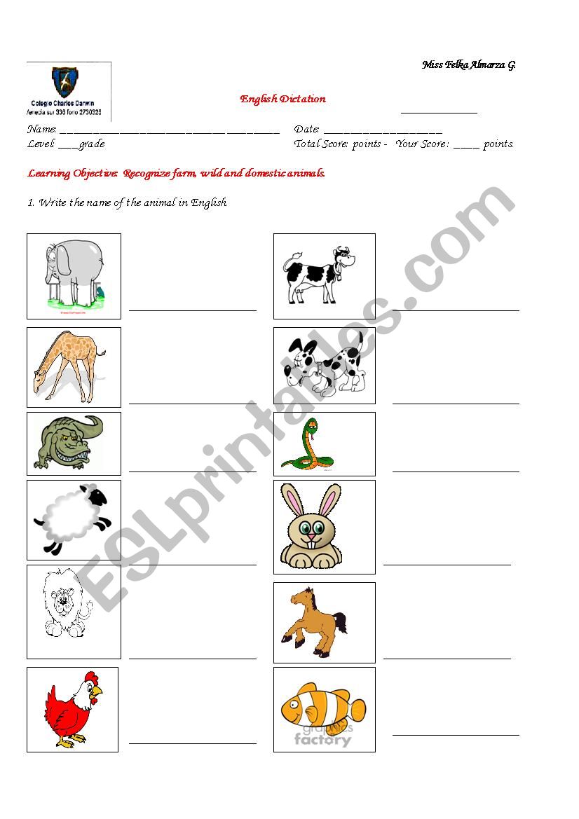 animals worksheet