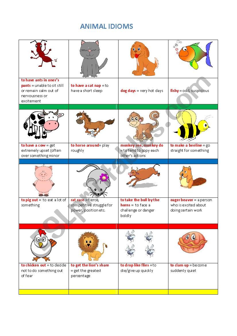 Animal Idioms worksheet