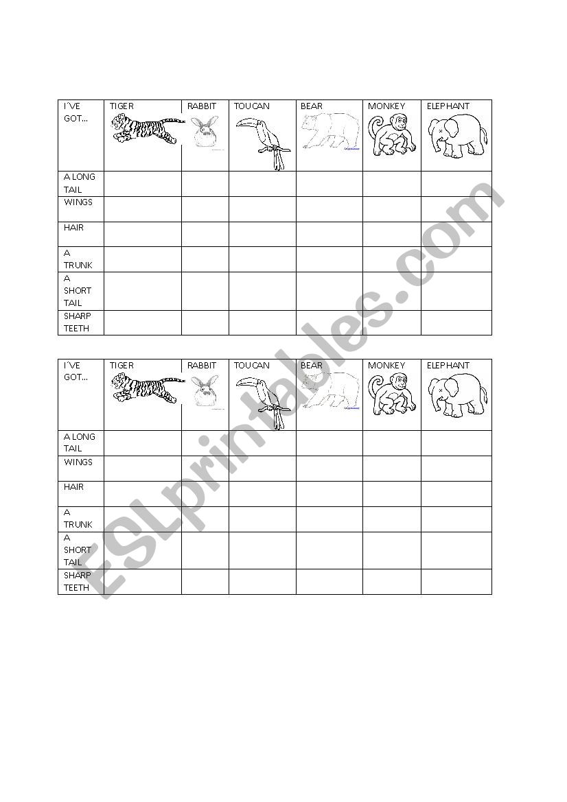 Animals Description  worksheet