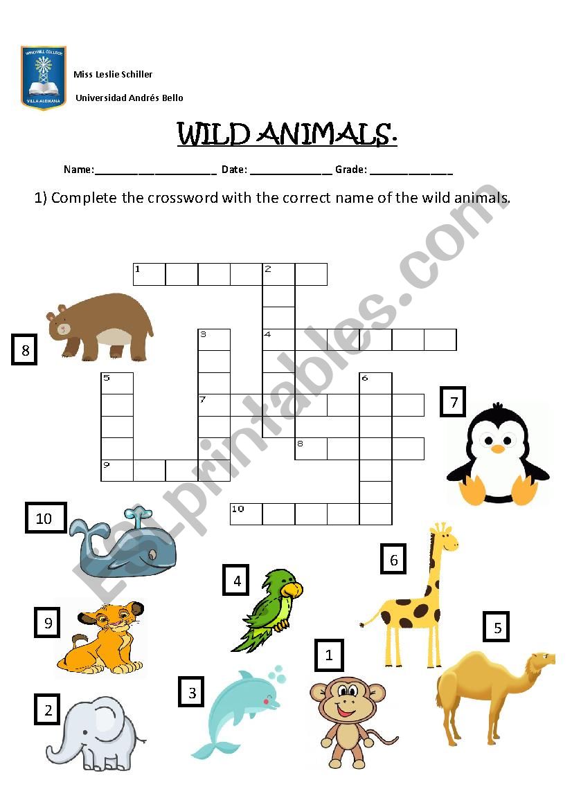 WILD ANIMALS worksheet