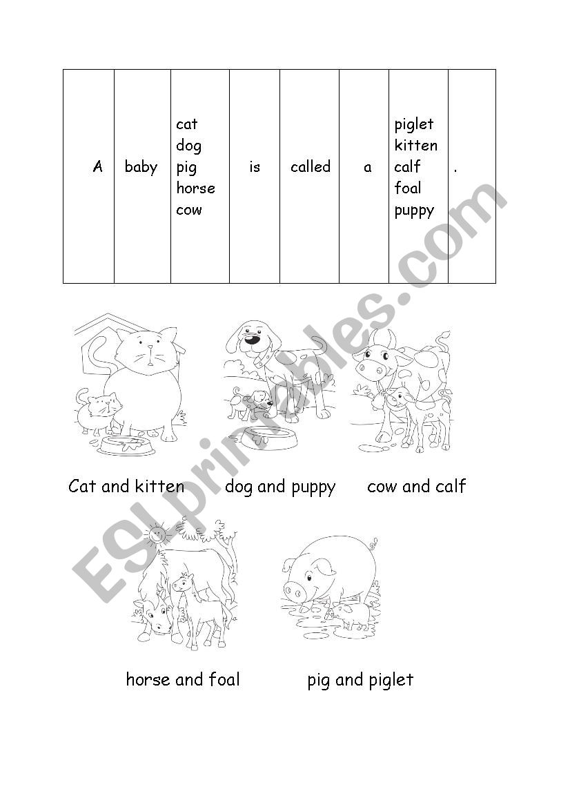 Animals and their young worksheet