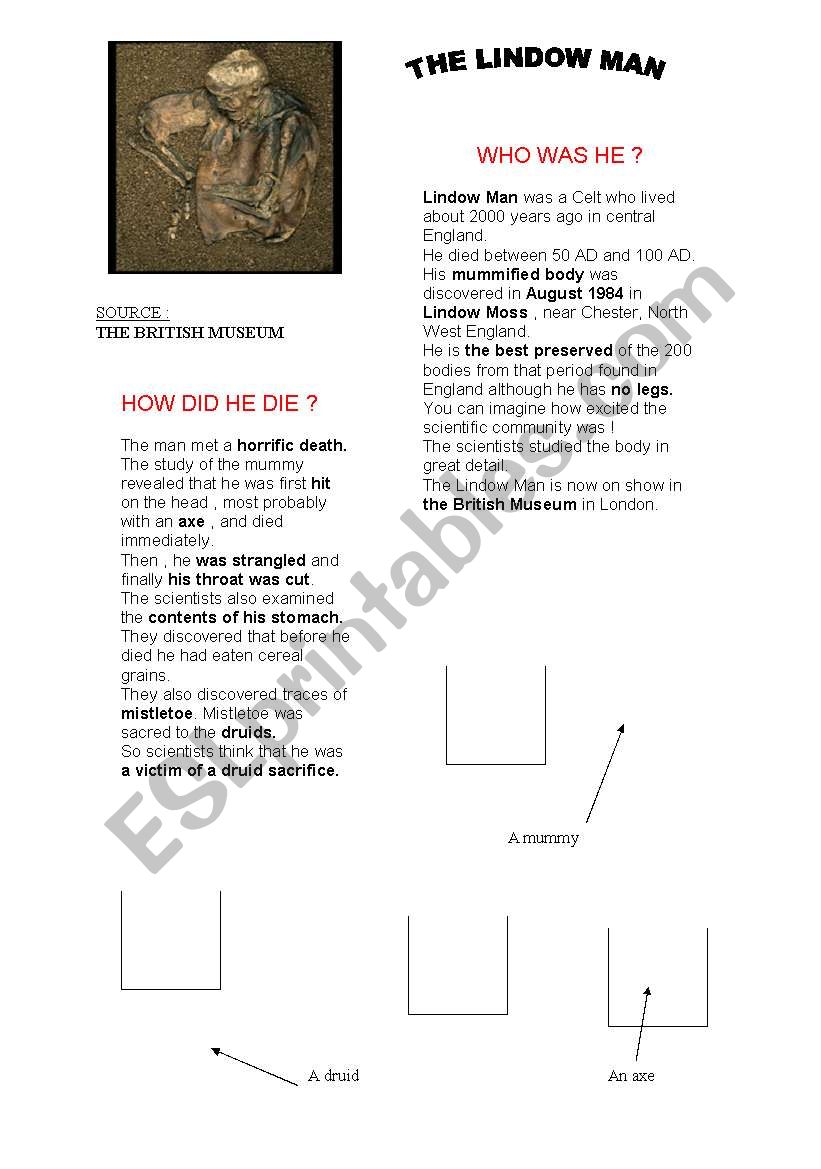 THE LINDOW MAN worksheet