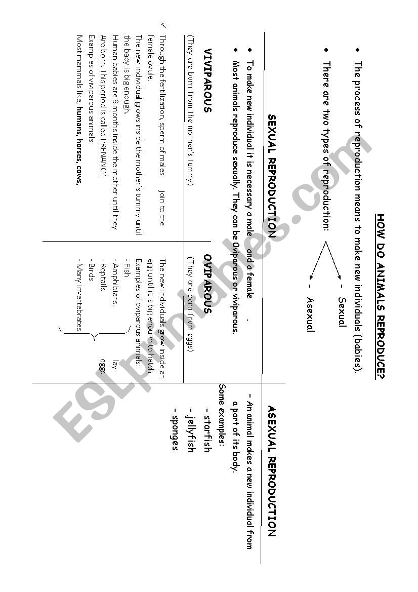 Diagram of animals reproduction - ESL worksheet by Almuxx