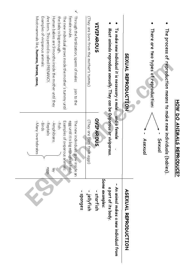 Diagram of animals reproduction