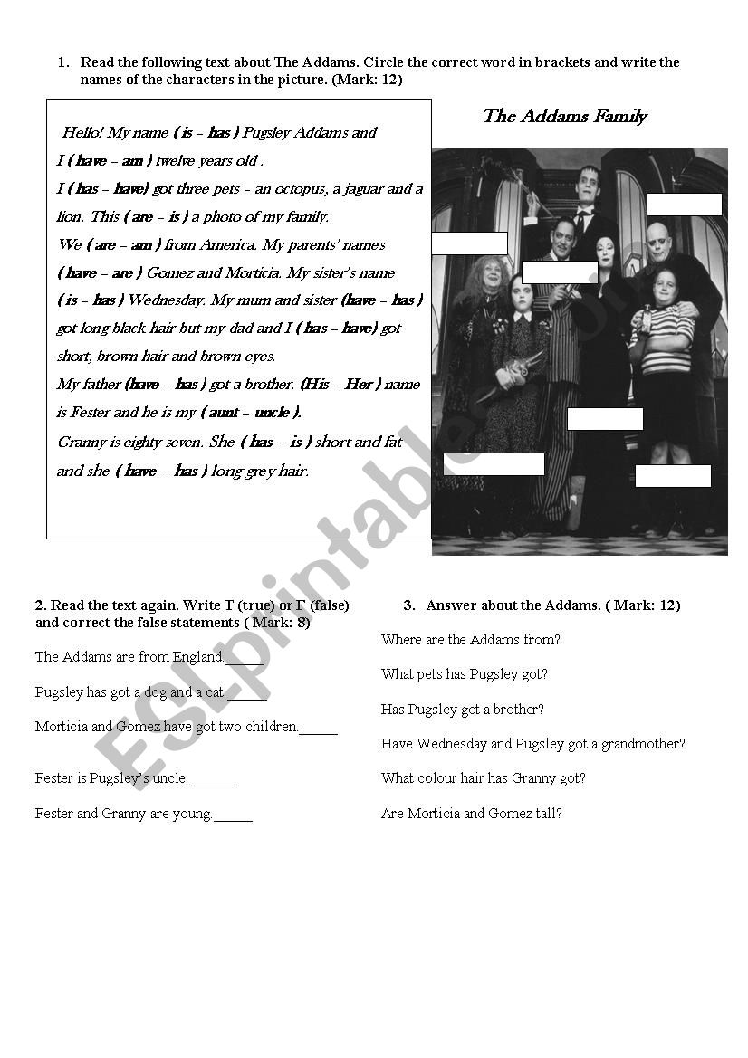 The Addams Family worksheet