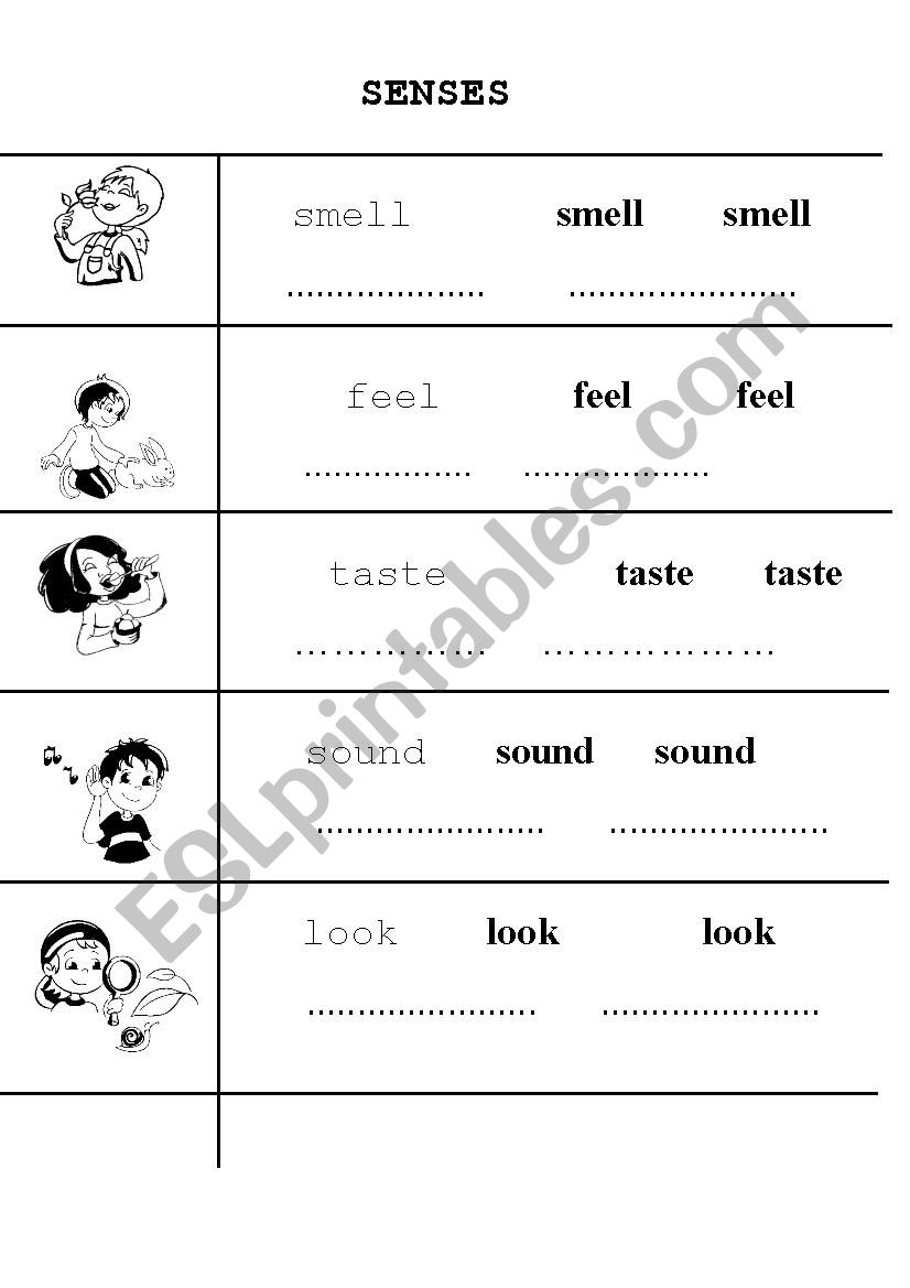 SENSES worksheet