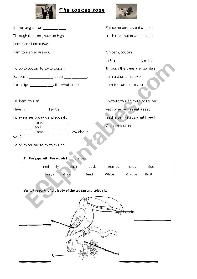 The toucan song worksheet
