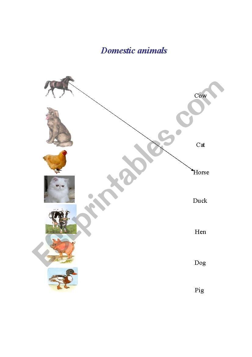 domestic animals worksheet