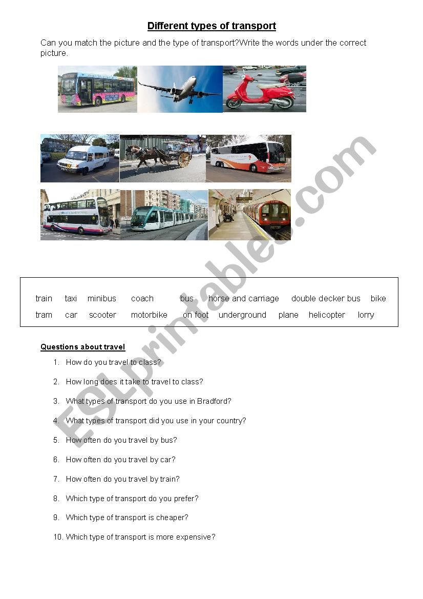 Types of Transport worksheet