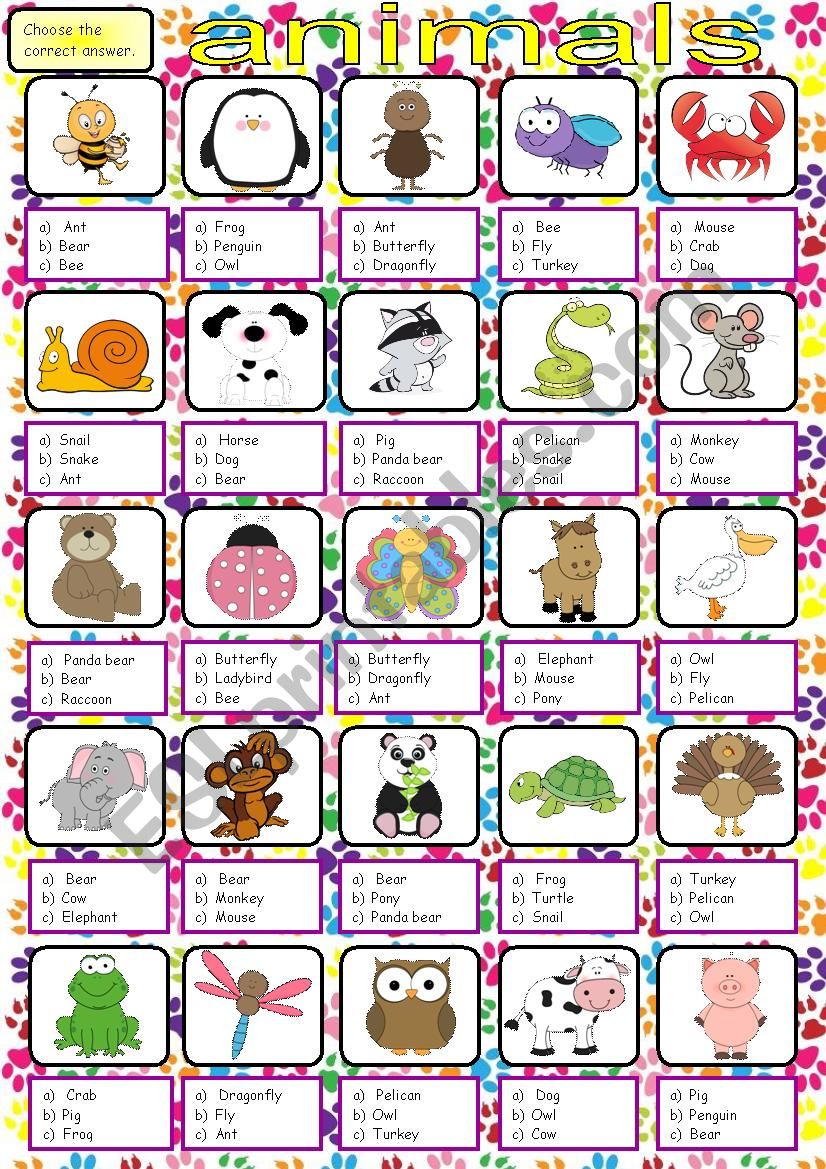 Animals 2 worksheet