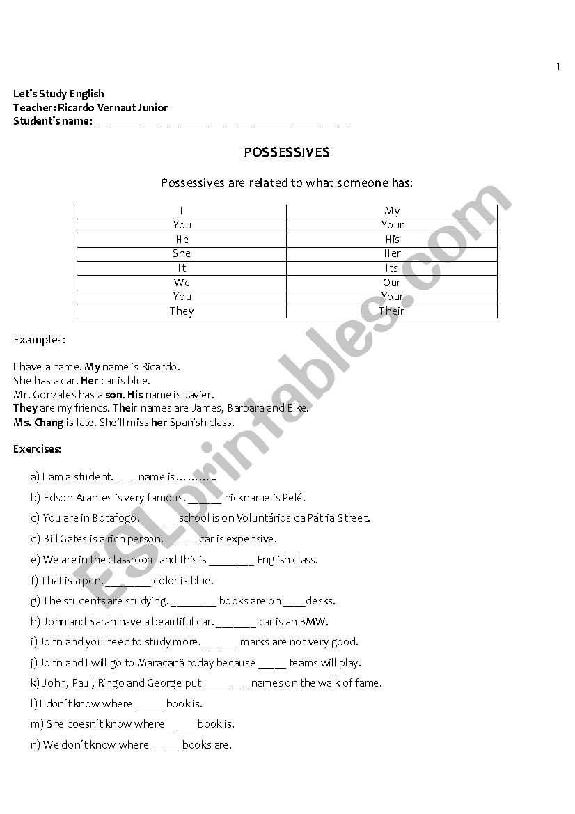 Complete the sentences using the most appropriate possessive pronoun