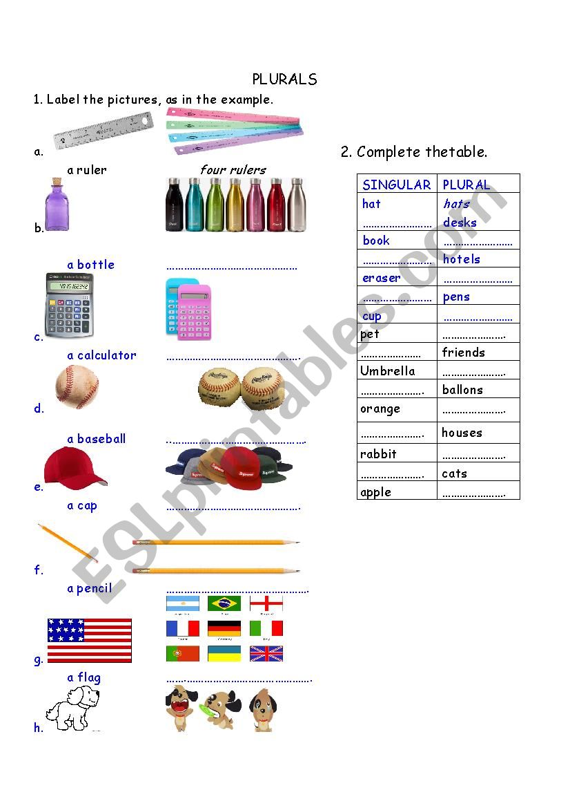 Plurals worksheet