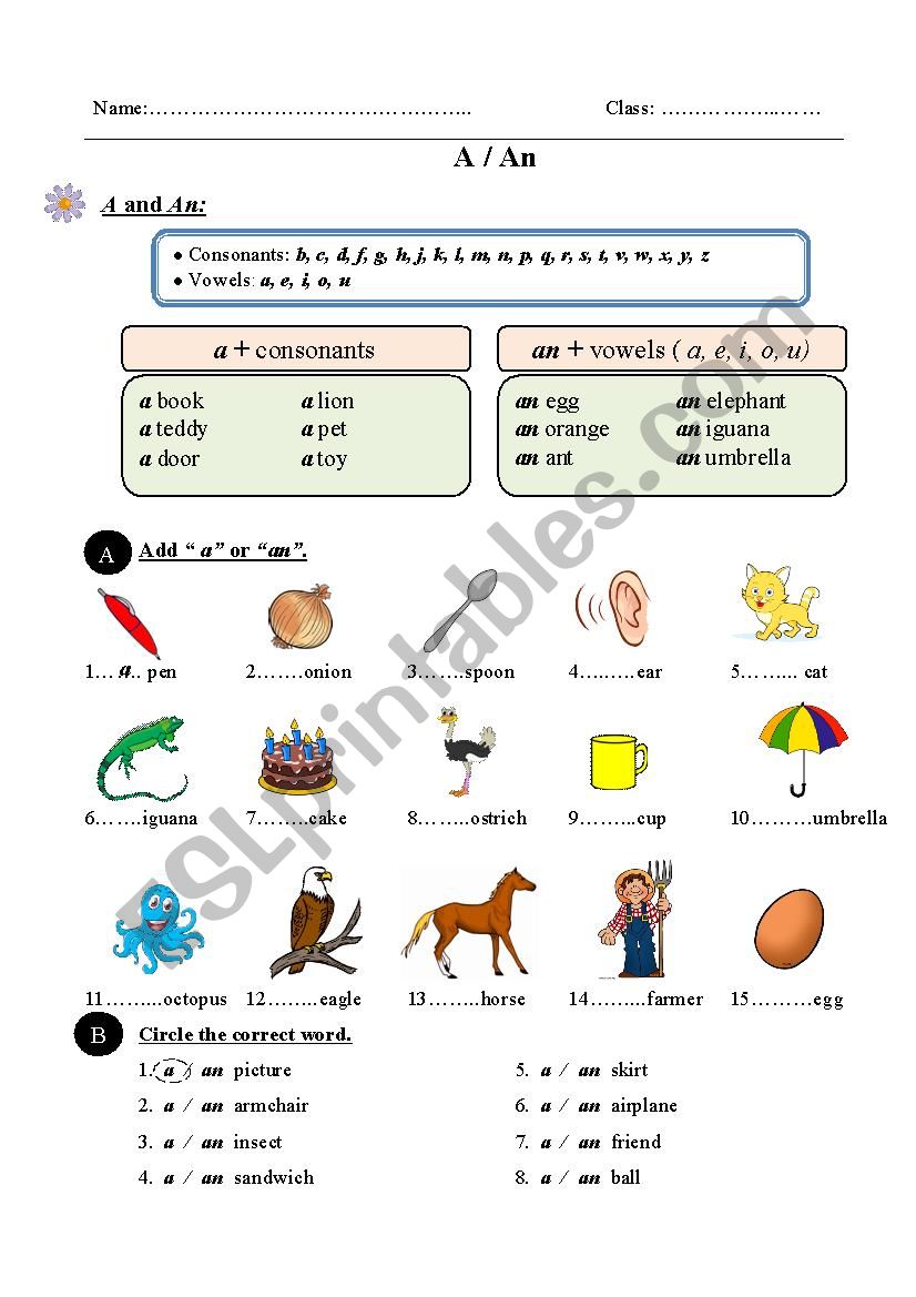 a-or-an-esl-worksheet-by-trangbomthoi
