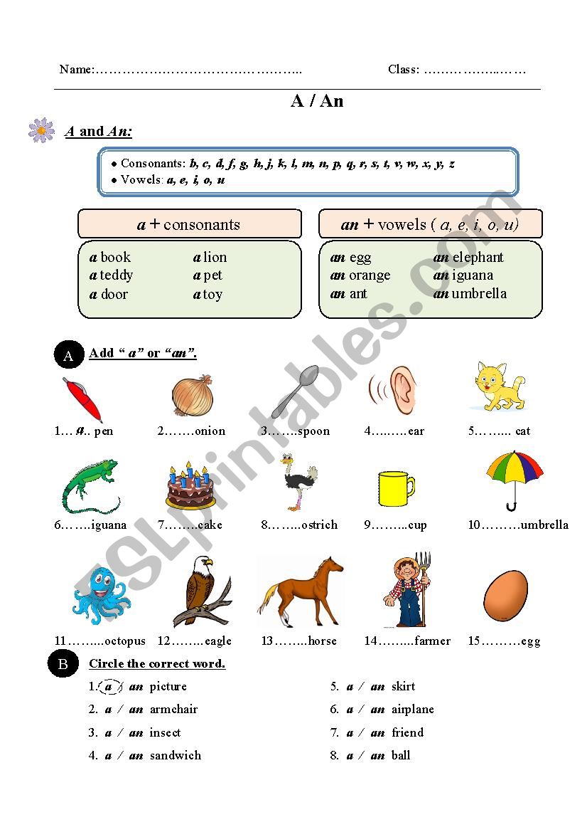 A or An worksheet