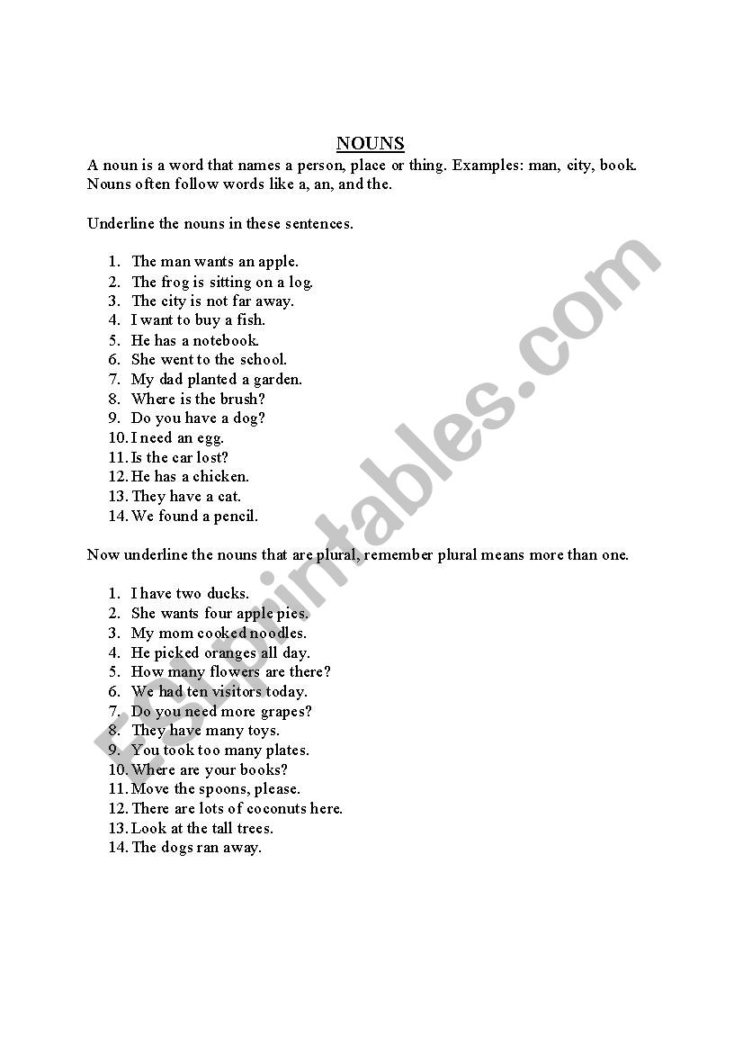 Nouns, singular and plural worksheet