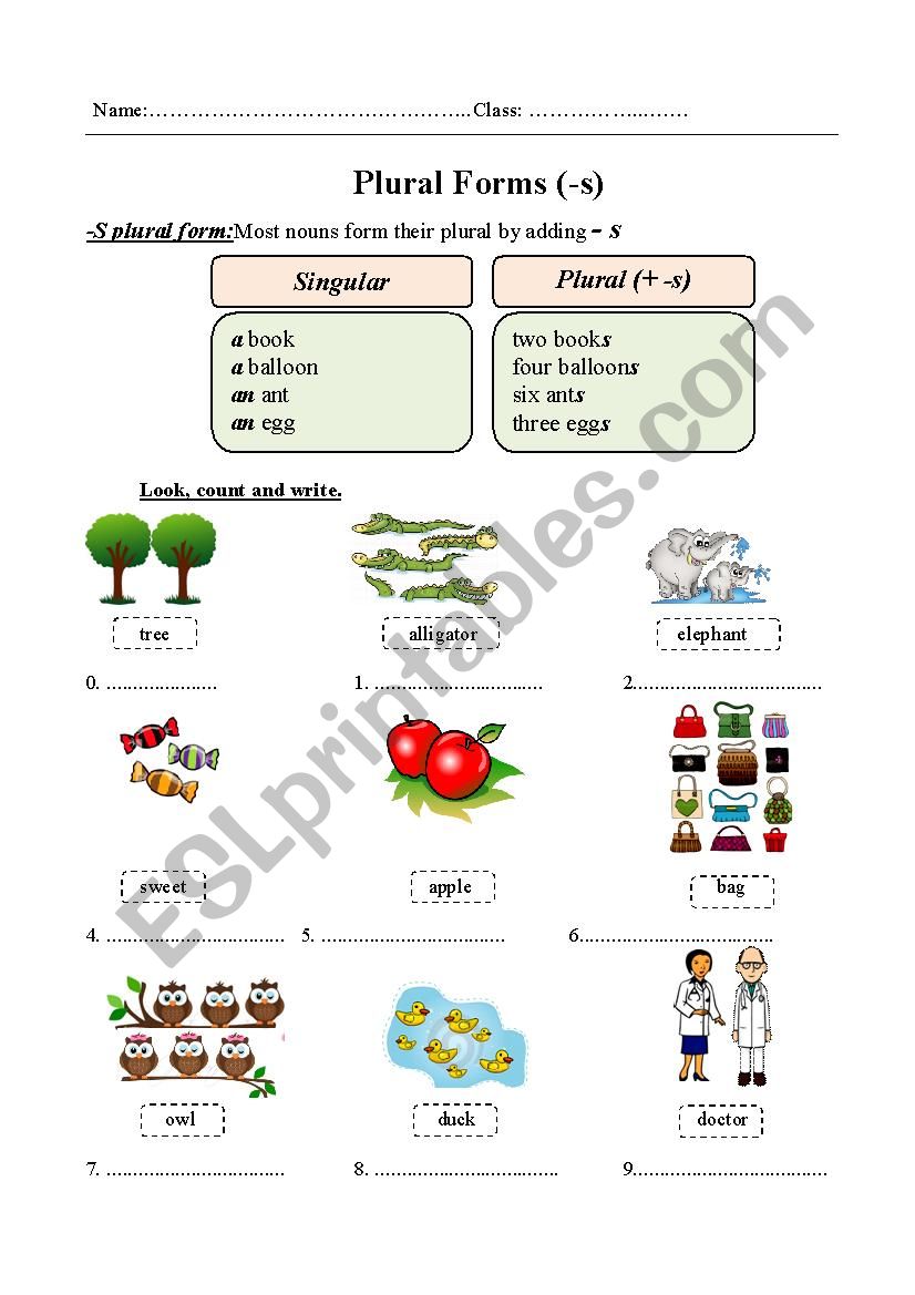 Plural form of nouns  ESL worksheet by dulcinha