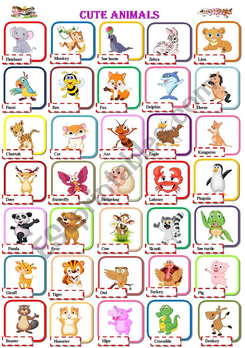 Animals  worksheet