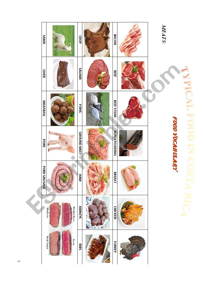 MEATS VOCABULARY worksheet