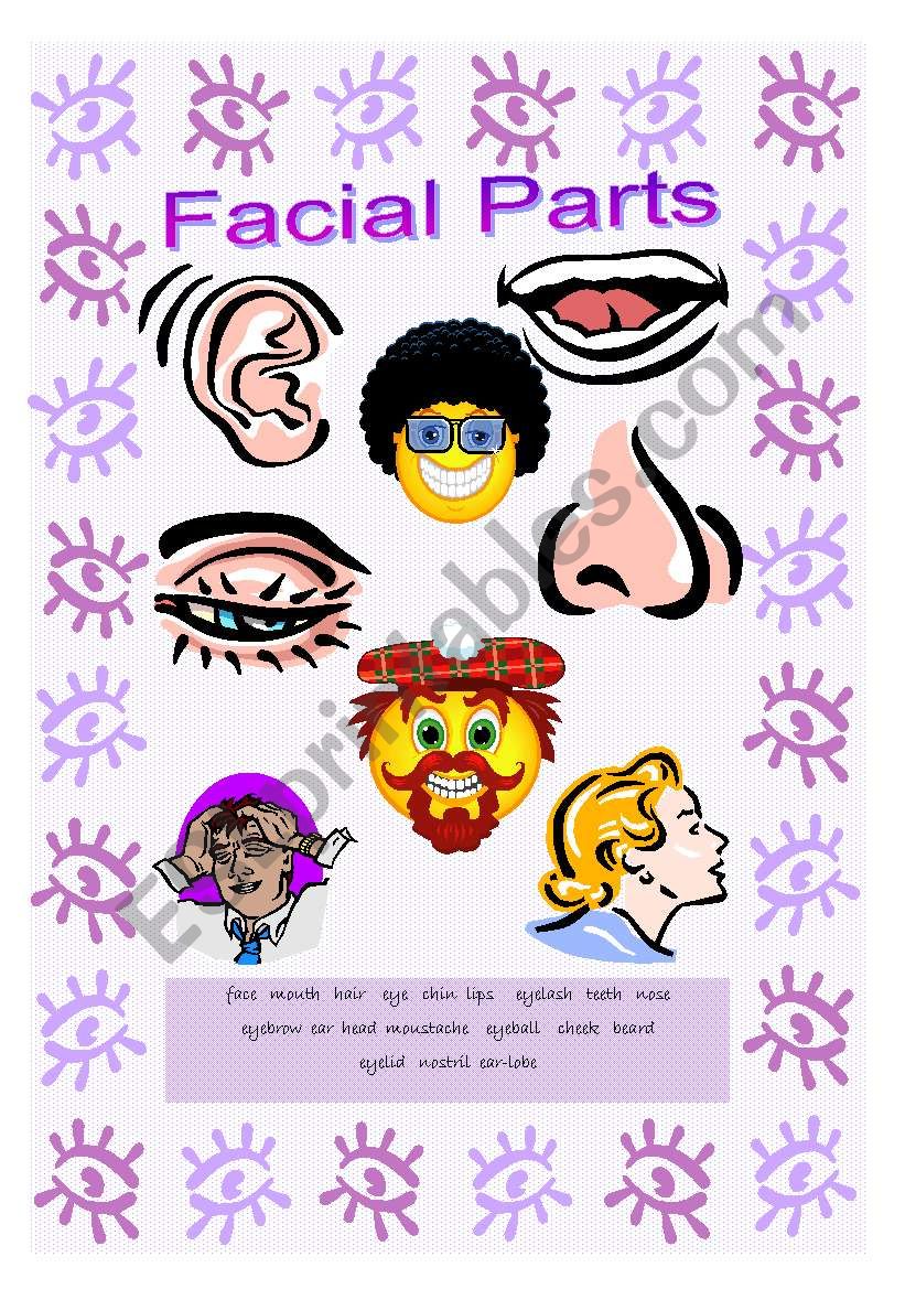 facial parts worksheet