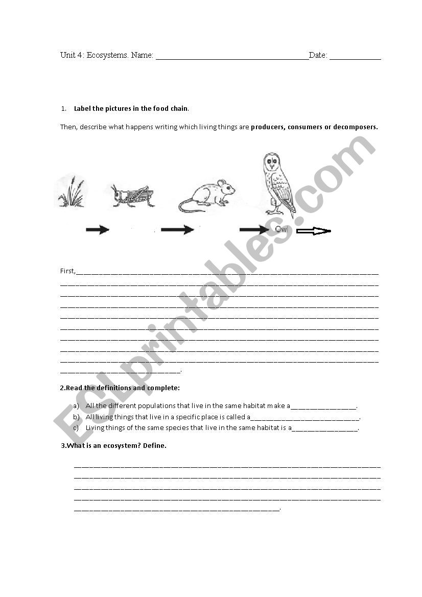 Ecosystems test 4th grade ESL worksheet by Almuxx