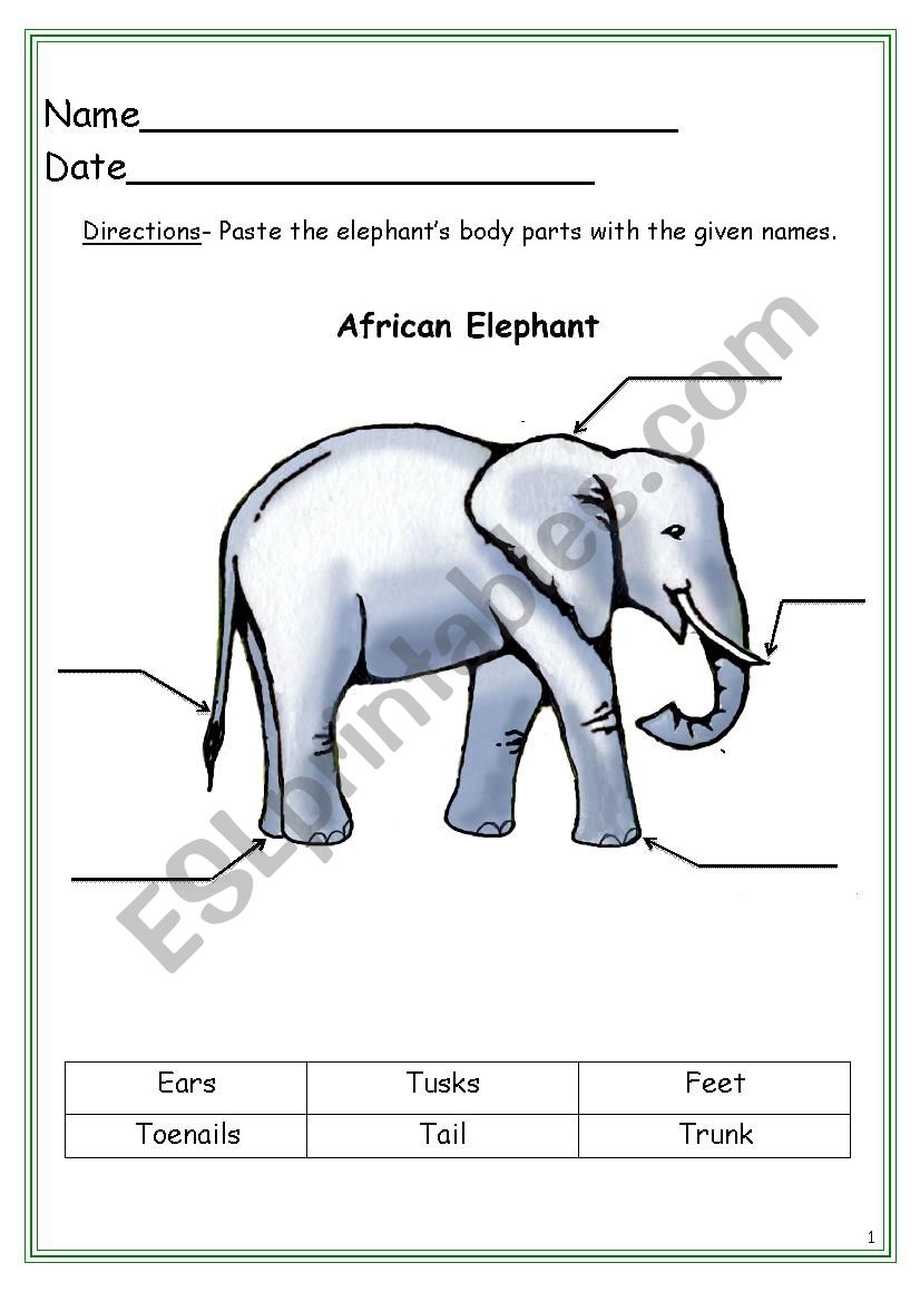 Elephant labeling worksheet worksheet