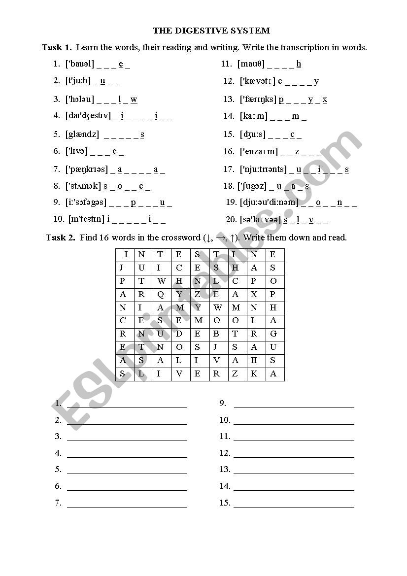THE DIGESTIVE SYSTEM worksheet