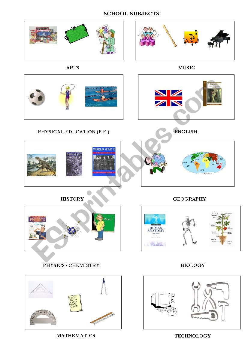 SCHOOL SUBJECTS worksheet