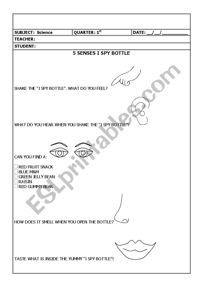Five Senses -  I spy bottle worksheet