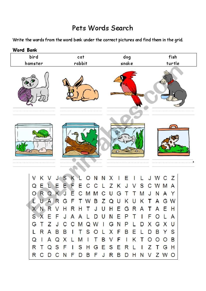 easy pets worksheet worksheet